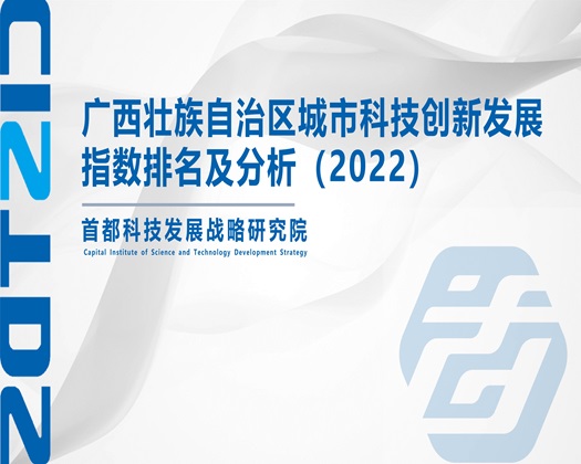 艹逼大全网站【成果发布】广西壮族自治区城市科技创新发展指数排名及分析（2022）